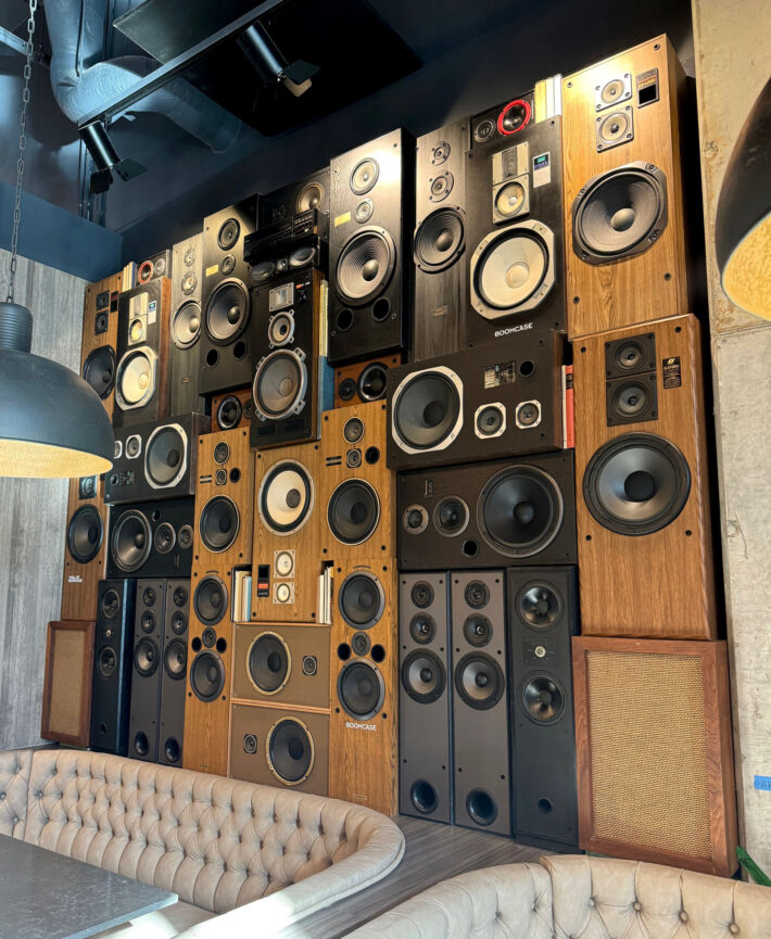 Speaker Wall for Rec Room Montreal The BoomCase© Speaker Walls